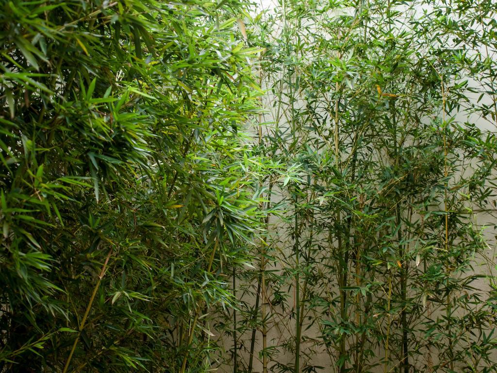 头城 和風時尚館酒店 外观 照片